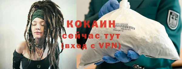 стафф Осинники