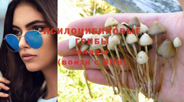 стафф Осинники