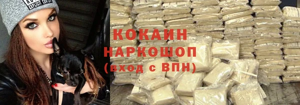 стафф Осинники