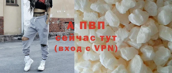 сатива Нягань