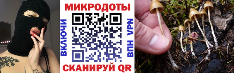 Галлюциногенные грибы MAGIC MUSHROOMS hydra ТОР Судак